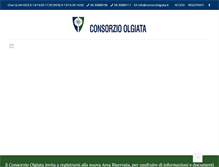 Tablet Screenshot of consorziolgiata.it